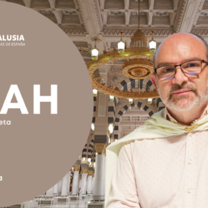 Curso de Sirah 2025/26